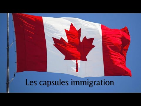 , title : 'Les capsules de l’immigration: le système éducatif au Québec'