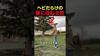 アメリカで家選びを間違えると起きる悲劇