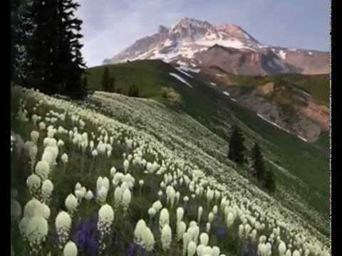 comment declarer paje