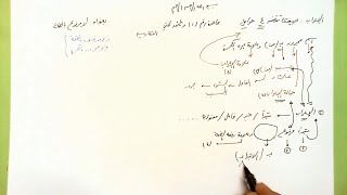 1 🗍  لا مرفوع بالضمة image