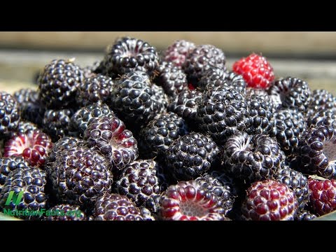 Black Raspberry Supplements Put to the Test