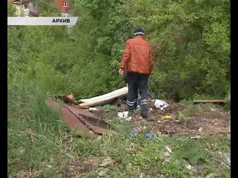 Генпрокурор страны раскритиковал работу курских оперативных служб