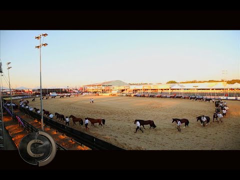 Freio de Ouro 2016, o sobe e desce de posições!