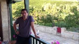 preview picture of video 'Alejandro Luna introducing Bodegas Luna Beberide - Bierzo'