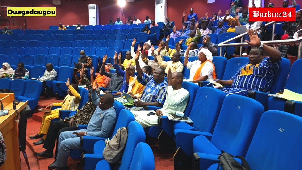 Adoption du projet de loi constitutionnelle par l'Assemblée législative de transition