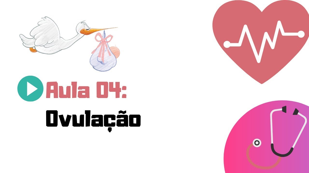 EMBRIOLOGIA HUMANA | AULA 04 | OVULAÇÃO