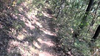 preview picture of video 'Dockery Lake Trail - Appalachian Trail GA 8-30-2011'