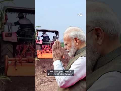 What options does India have in the face of US tariffs? | DW News