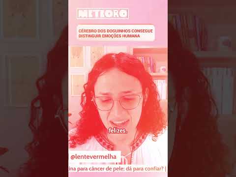 CÉREBRO DOS DOGUINHOS CONSEGUE DISTINGUIR EMOÇÕES HUMANAS