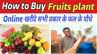 How to buy fruits plant online India