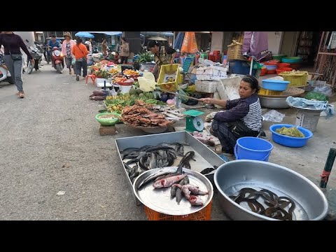 Cambodian Routine foods @ The Market   Raw Meat, Fishes, Desserts, Vegetables, & More