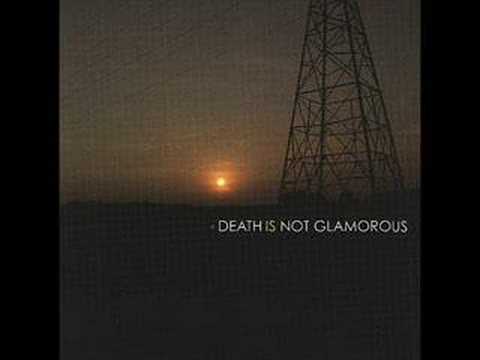 death is not glamorous - elephants