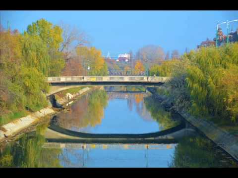 Mircea Stefanescu - Rapsodia Tiganilor