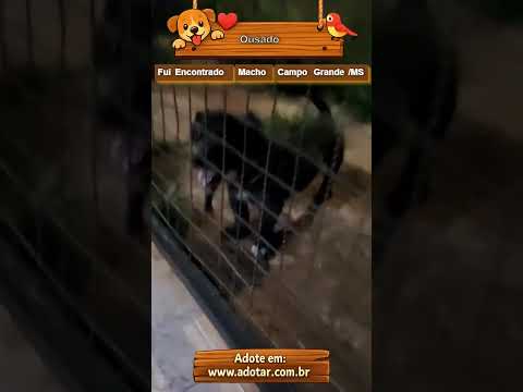 Vídeo de Ousado
