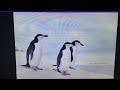 Despicable Me Animal Style 2010 Part 19