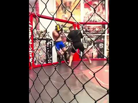 UFCフェザー級王者トプリアの兄「アレクサンドレ・トプリア」のスパーリング映像