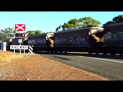 P 2513, 2501, 2514 on 7KO1 empty ng grain from AVON Yard,  to BROOKTON. Sat 18 Feb 2023.