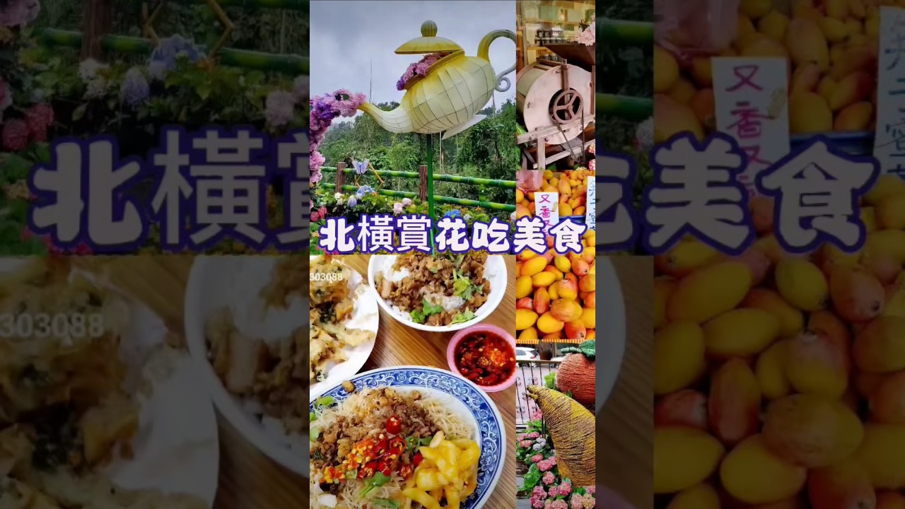 #枕頭山魅力商圈美食 #三姐妹餐館 #三姐妹小吃 #北橫平價美食 #北橫平價小吃推薦 #滷肉飯 #炒米粉 #經濟合菜 #水蜜桃 #復興農特產 #枕頭山美食 #桃園繡球花 #小紫吃喝玩樂