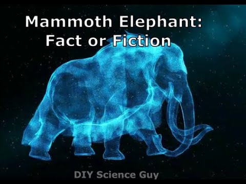 The Mammoth Elephant: Fact or Fiction?