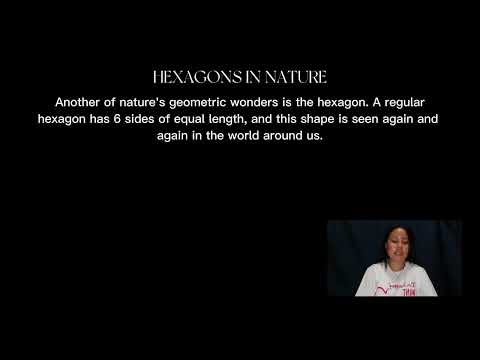 PATTERNS and NUMBERS in NATURE