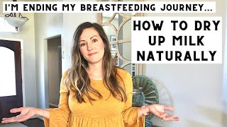 Stopping Breastfeeding || How to stop breastfeeding naturally / Dry up milk supply / Breastfeeding
