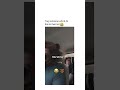 Bear Dad Bear Prank Fliters Scary