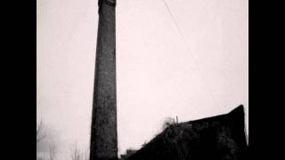 Pines ~ Sumac Ravine