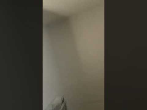 Tekno tribe analog machine