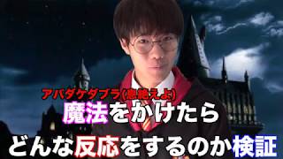 【検証】もし、渋谷原宿で歩いてる人にハリーポッターが魔法をかけたらどんなリアクションをするのか？