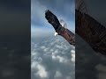 an eagle flies and screams loudly, king of the sky, amazing sound #naturalbeauty #shortsvideo