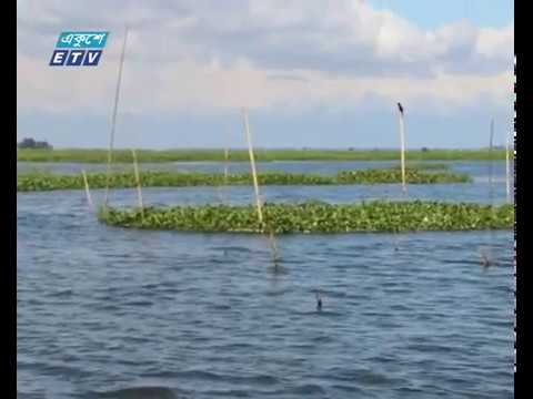 দেশের বৃহত্তম জলাবন প্রভাবশালীদের দখল-দূষনে বিলীন হতে বসেছে