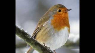 "i'm so lonesome, i could cry" - originally by cowboy junkies