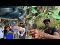 NAGKAGULO ANG LAHAT SA ITIM NA KING COBRA Cobraprince