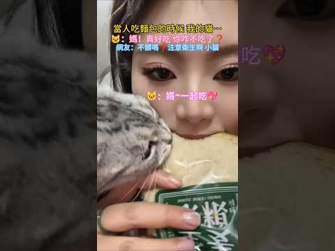 當我吃麵包時，我的貓… 🐱：媽💖真好吃😋你咋不吃啦❓ 網友：不髒嗎❓注意衛生啊小貓❤️ #cat #cute #funny #funnyshorts #cutecat
