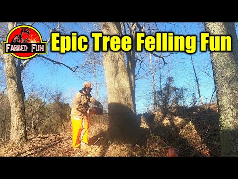 206: Epic Tree Felling Fun - Husqvarna 572XP and Tchaikovsky 1812