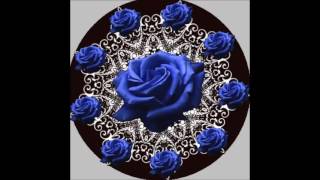 Truck Stop Zwölf Rote Rosen