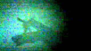 Cirque Du Soleill Ka' Shadow play by Justin Souvanna