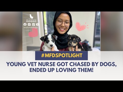 YOUNG VET NURSE GOT CHASED BY DOGS, ENDED UP LOVING THEM!