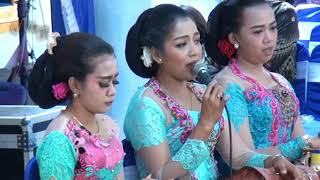 Download lagu TAYUB DUTA NADA PACITAN PAMBUKO mp3 Download lagu TAYUB DUTA NADA PACITAN PAMBUKO mp3