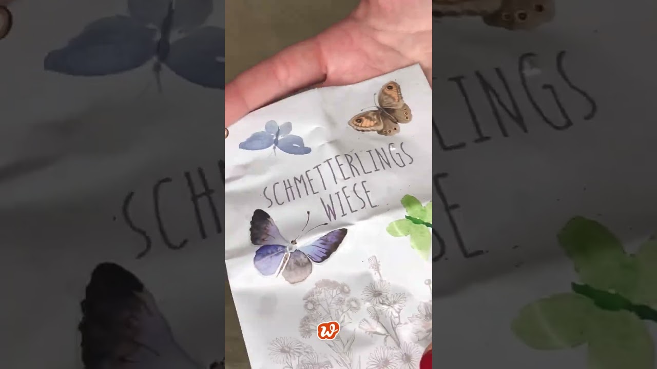 Schmetterlingwiese Pott zum Aussäen für mehr Artenvielfalt