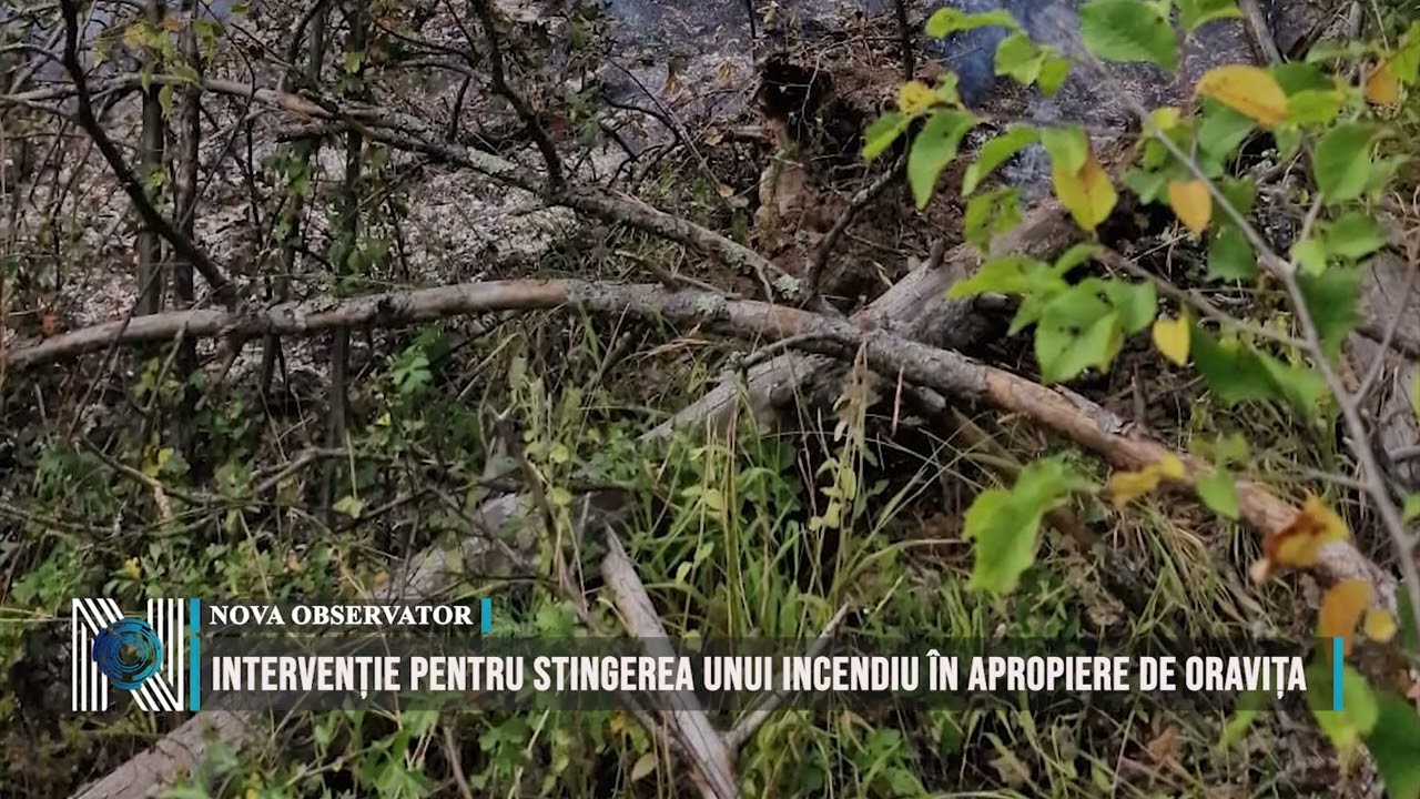 Intervenție pentru stingerea unui incendiu în apropiere de Oravița