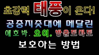 [텃밭농부.743]  태풍속 공중지줏대의 작물보호