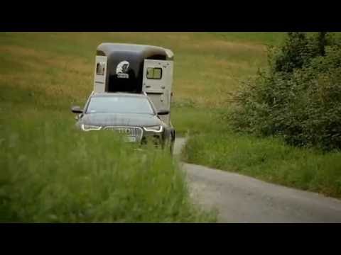 Boxes et Abris Chevaux - Cheval Liberté