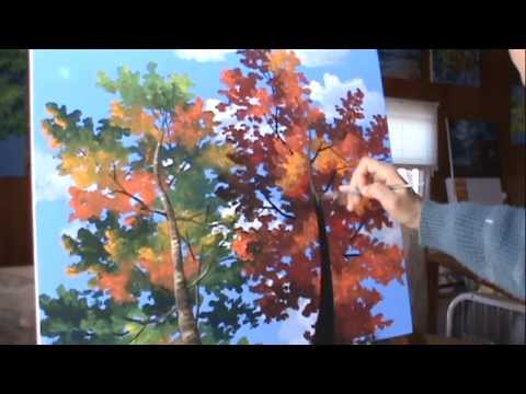Ci possono essere vermi a gravidanza Vermi in frullini