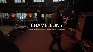 CHAMELEONS - Singing Rule Britannia (While the Walls Close In) - 'FD' session