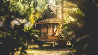 Epic Jungle Villa In The Caribbean!