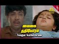 Rickshaw Mama Movie Songs Vaigai Nathioram Female Video Song Sathyaraj Khusbhu Ilaiyaraaja