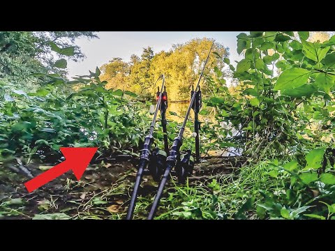 XXL Karpfen im Fluss 🐳 The River Vlog Folge 43