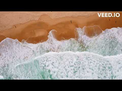 Ce har mi-ai dat - Flavia Țicărat