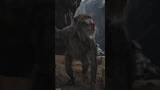 Rafiki Explains the Circle of Life 🌍 | Mufasa: The Lion King | Disney Kids 